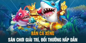 ban-ca-xeng-ok365-anh-dai-dien