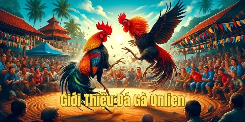 Cuộc chiến sinh tử chỉ có tại chọi kê cựa dao online