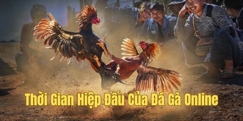 Yêu cầu thời gian của một trận chọi kê online