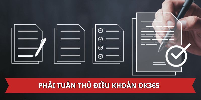 Phải tuân thủ điều khoản OK365